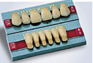 The 21st century offers a much more natural choice of colors for artificial gums and teeth